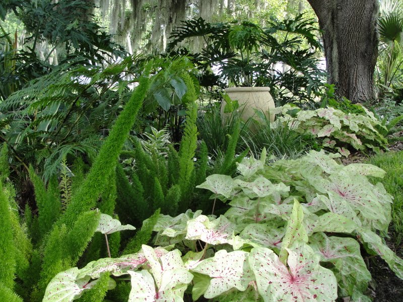 Simply Susan The White Garden