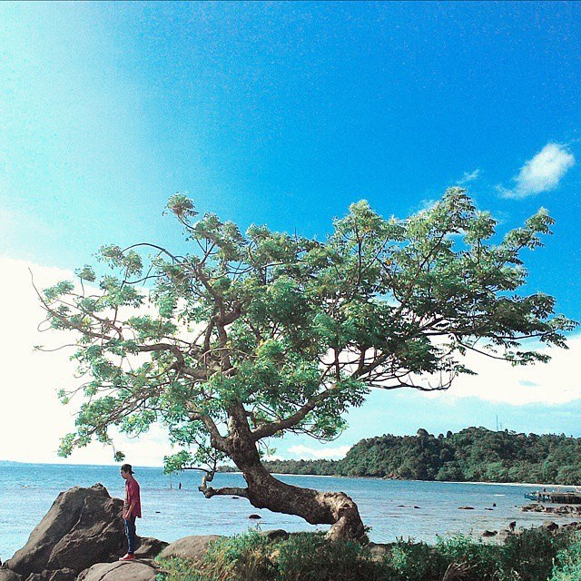 Tempat Wisata Terbaik di Lampung Tempat Wisata Terbaik di Lampung