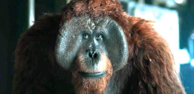 Bob Canada S Blogworld It Came From The Cineplex War For The