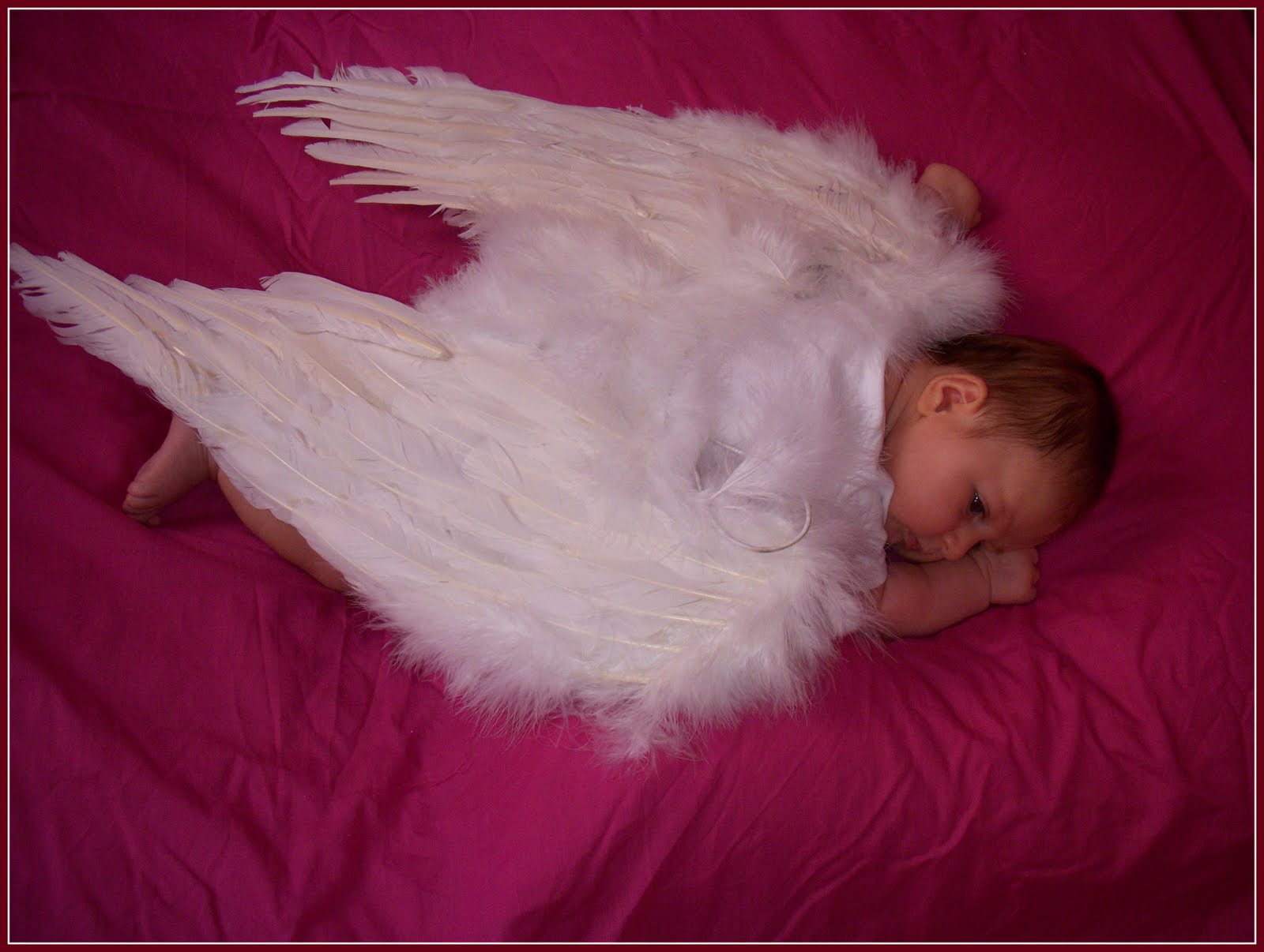 baby fairy photography Un veritable petit'ange.....