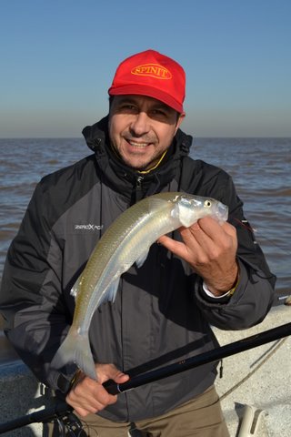 Image result for miguel habud pesca