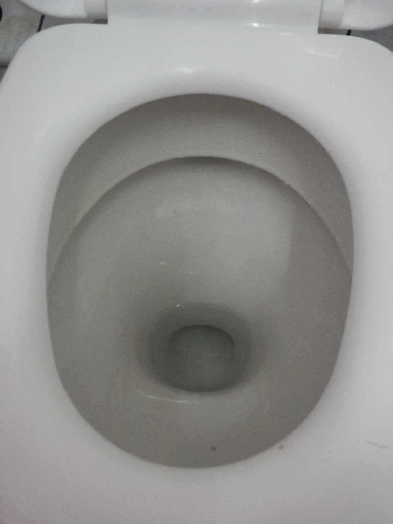 Render Disorder fast meserias in bricolaj: curge apa in wc