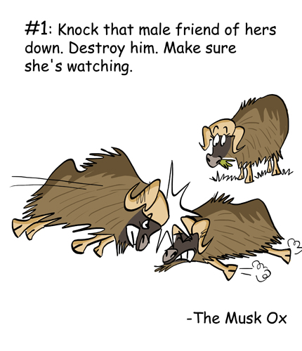 Green Humour: 11 Ways to Seduce Your Mate- A Courtship Guide by Wild Animals
