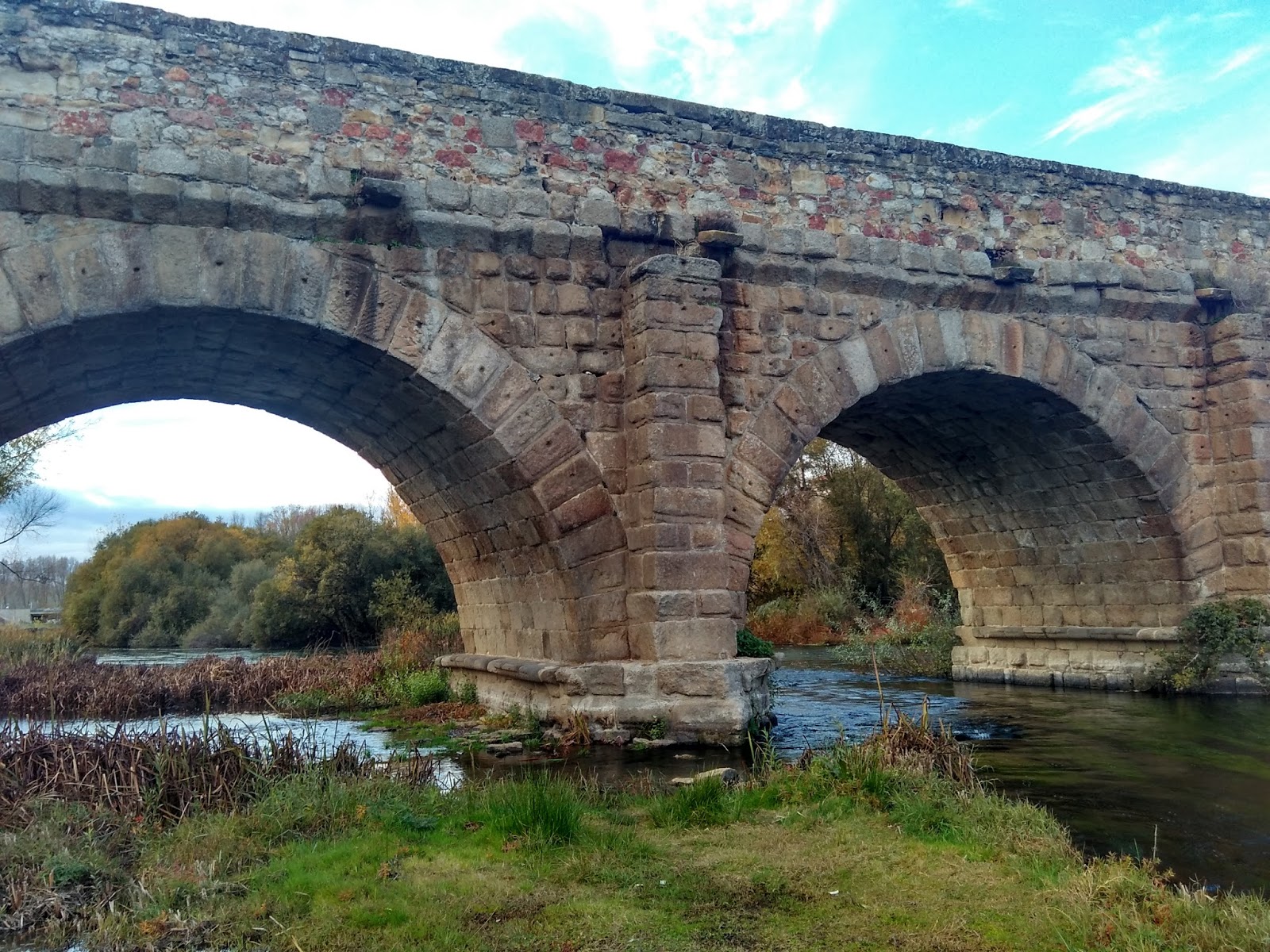 Aurigas en Salamanca Puente Romano de Salamanca Aurigas en Salamanca Puente Romano de Salamanca