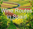 Spanish Wine Tourism Workshop