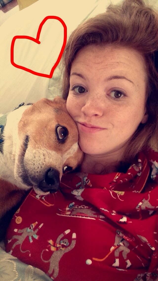 Cute dogs part 51 (50 pics) Amazing Creatures