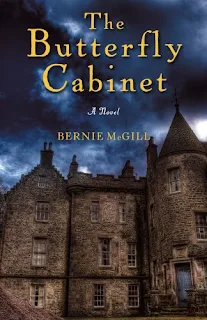 The Butterfly Cabinet by Bernie McGill book cover