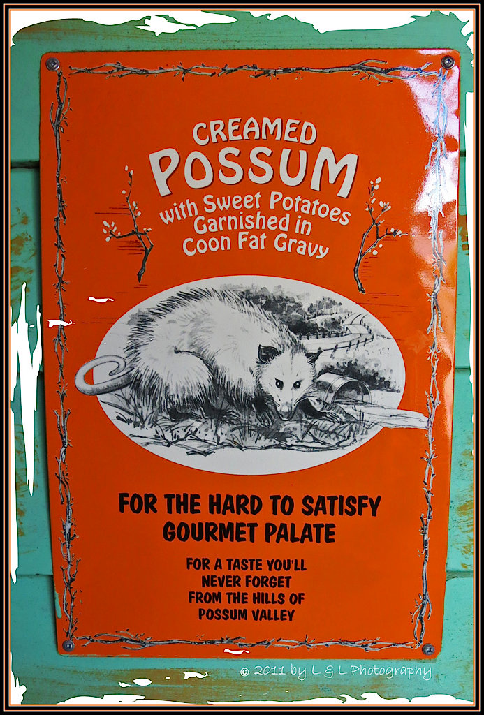 Images The Art of Photography Creamed possum for the discerning palate!