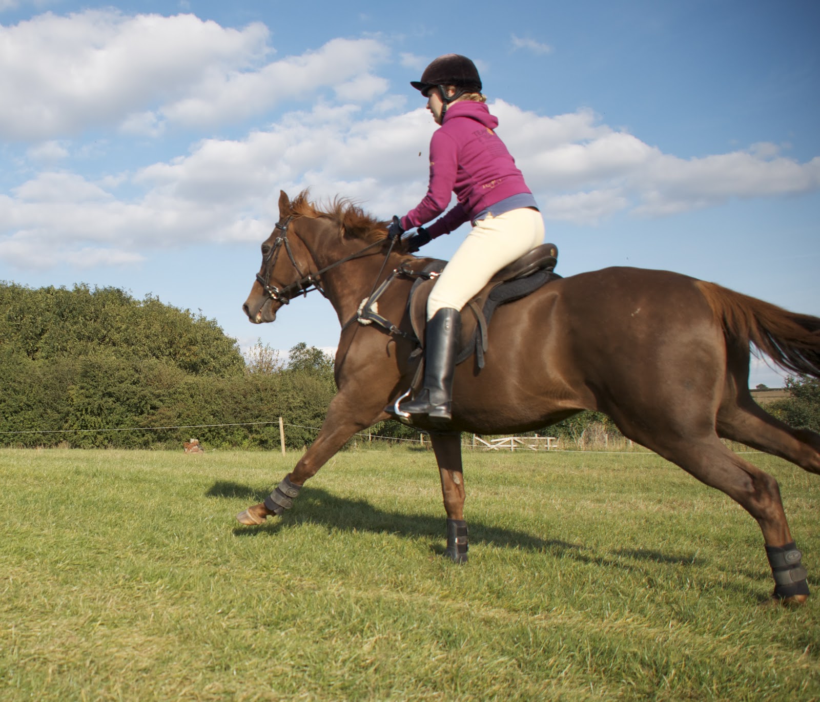 Rockley Farm 3 reasons to trim your horse? Are you sure?