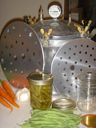 steamliner national canning kook kwick op