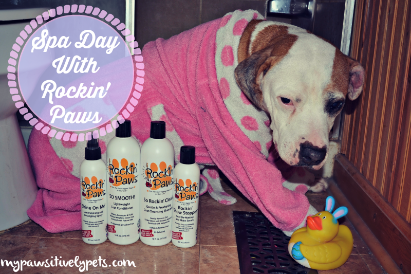 A Spa Day With Rockin' Paws Pawsitively Pets