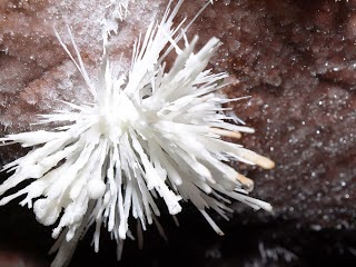 Flores de aragonito. Cueva de Castañar de Ibor