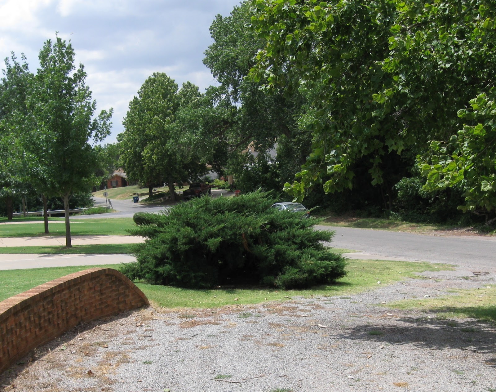 Keeping Up Trimming Cedar Bushes