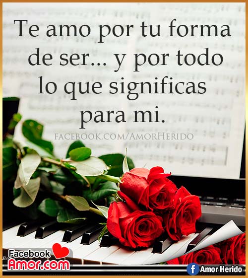 flores rosa con pensamientos de amor flores rosa con pensamientos de amor