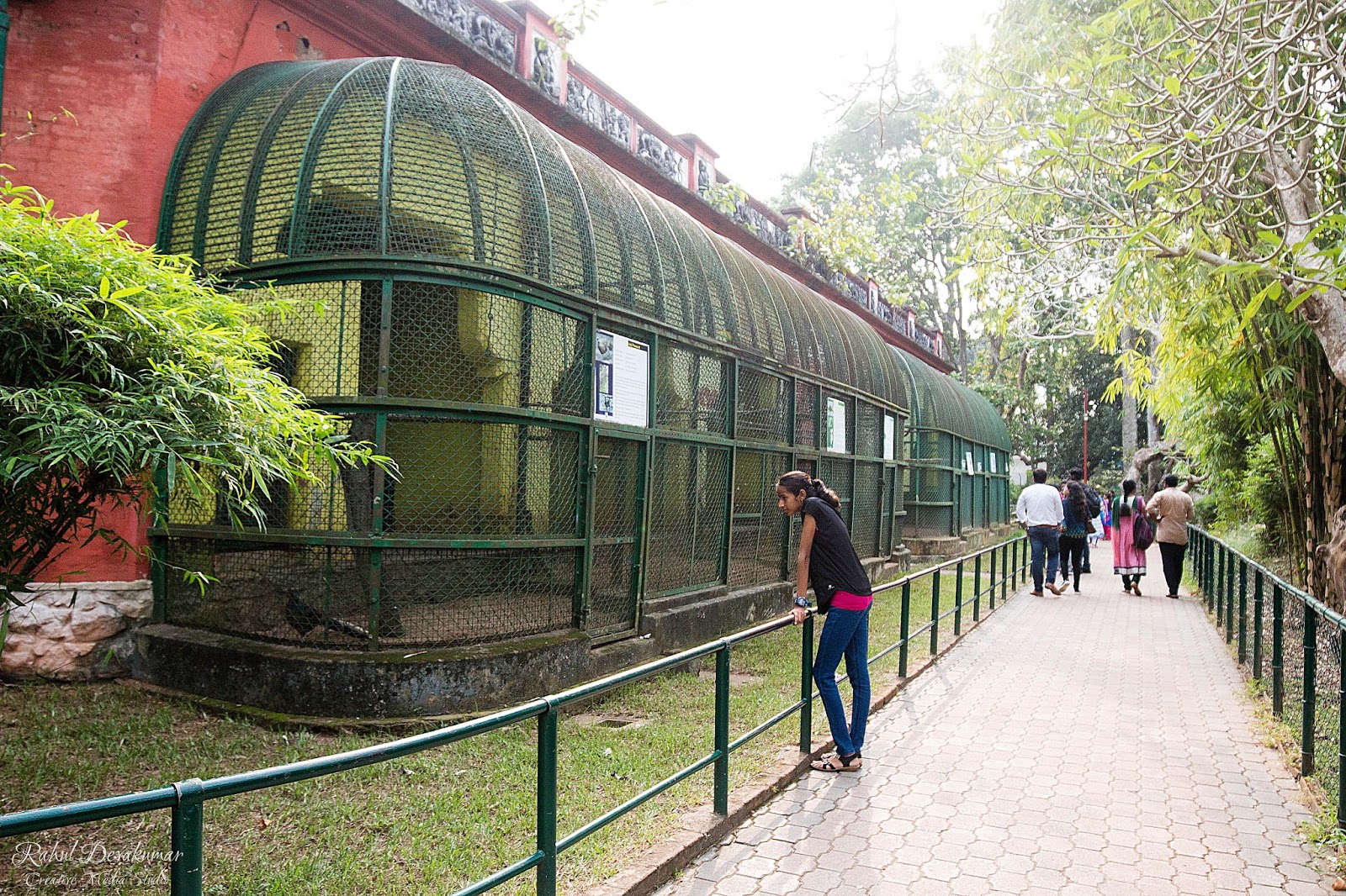 Caged for Amusement Trivandrum Zoo