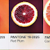 Συνδυάζοντας πράγματα με χρώματα Pantone