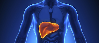 Obat Tradisional Liver Bengkak Obat Tradisional Liver Bengkak