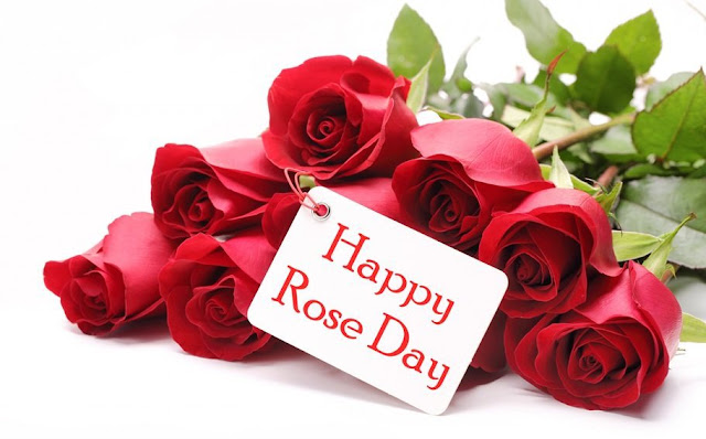 Happy Rose Day Images, Happy Rose Day Images,