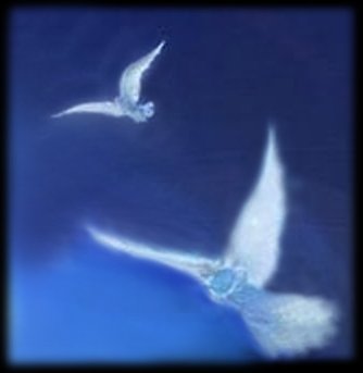 La Gloria di Dio . SPIRITO SANTO SCONOSCIUTO