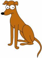 thump_578212perro.jpg