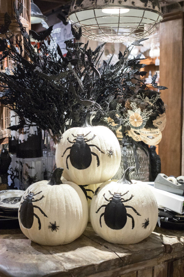 ciao! newport beach this halloween at roger's gardens