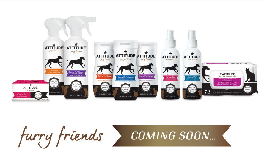 At ATTITUDE, they know that your pets are a part of the family and they