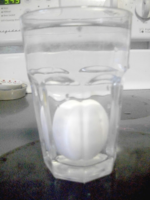 Float eggs to tell their freshness 