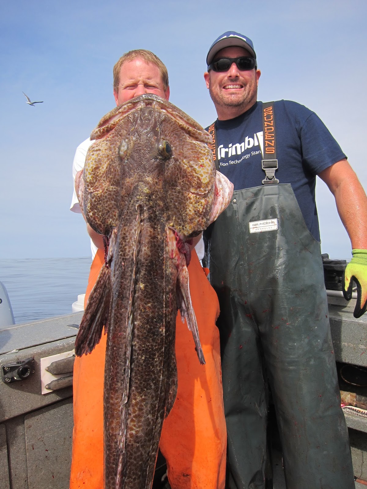 Todds Extreme Fishing