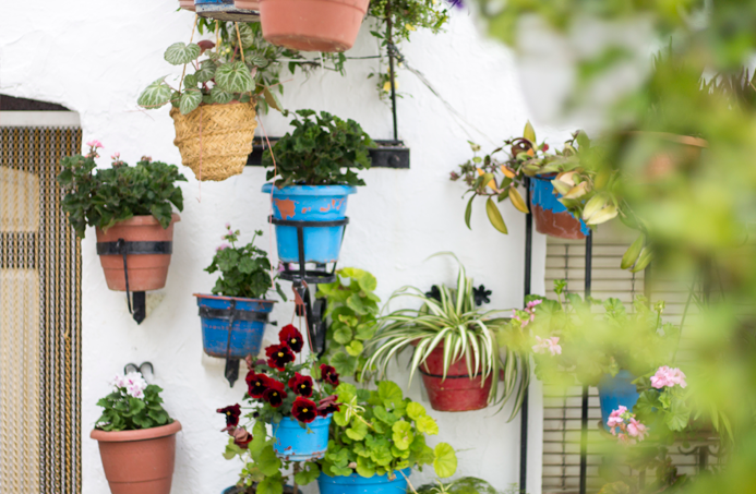 córdoba fotografía spain zuheros