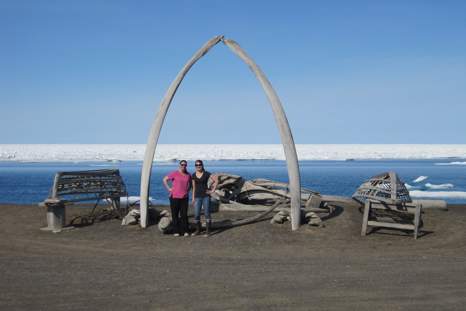 Baby Beluga Midnight Marathon, Point Barrow, Icebergs