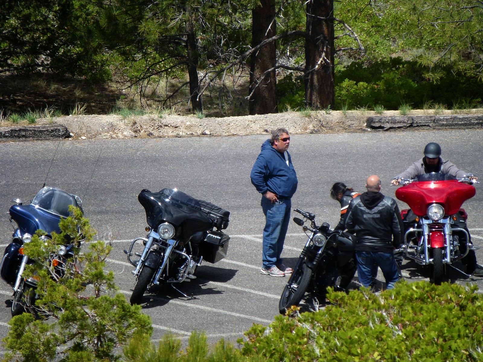 A Summer of Wander Special Edition Harley Quiz Answer