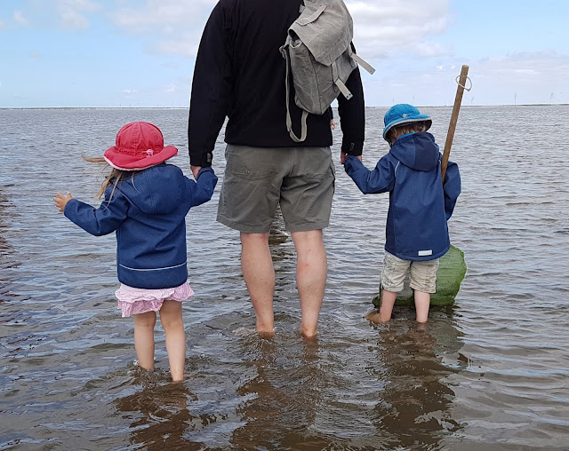 Im Watt in Dänemark: Unser Besuch im Vadehavscentret samt Wattenmeer-Tour. Auf Küstenkidsunterwegs nehme ich Euch mit ins dänische Wattenmeerzentrum bei Ribe und auf eine tolle Wattwanderung mit unseren Kindern.