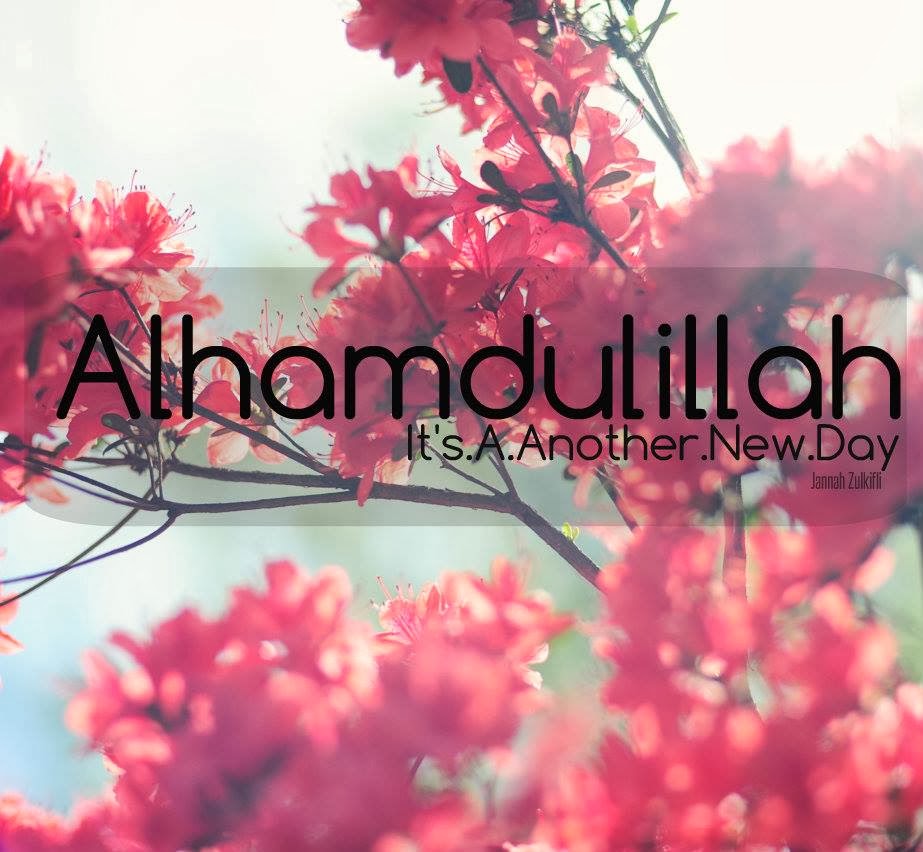 Альхамдулилла что значит. Альхамдулиллах1. Надпись Альхамдулиллах. АЛЬХАМДУЛИЛЛЯХ красивые цветы. Алхамдулиллах фото.