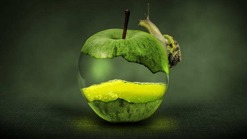 Snail on Green Apple