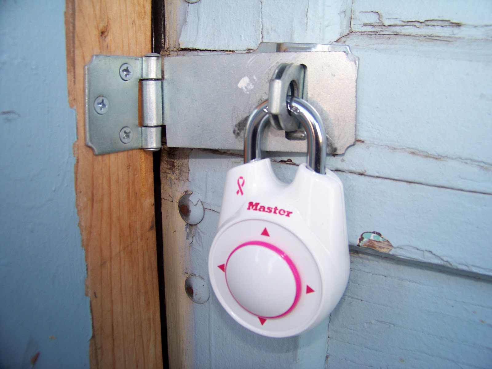 Breast Cancer Awareness with Master Lock Plus Speed Dial Combination