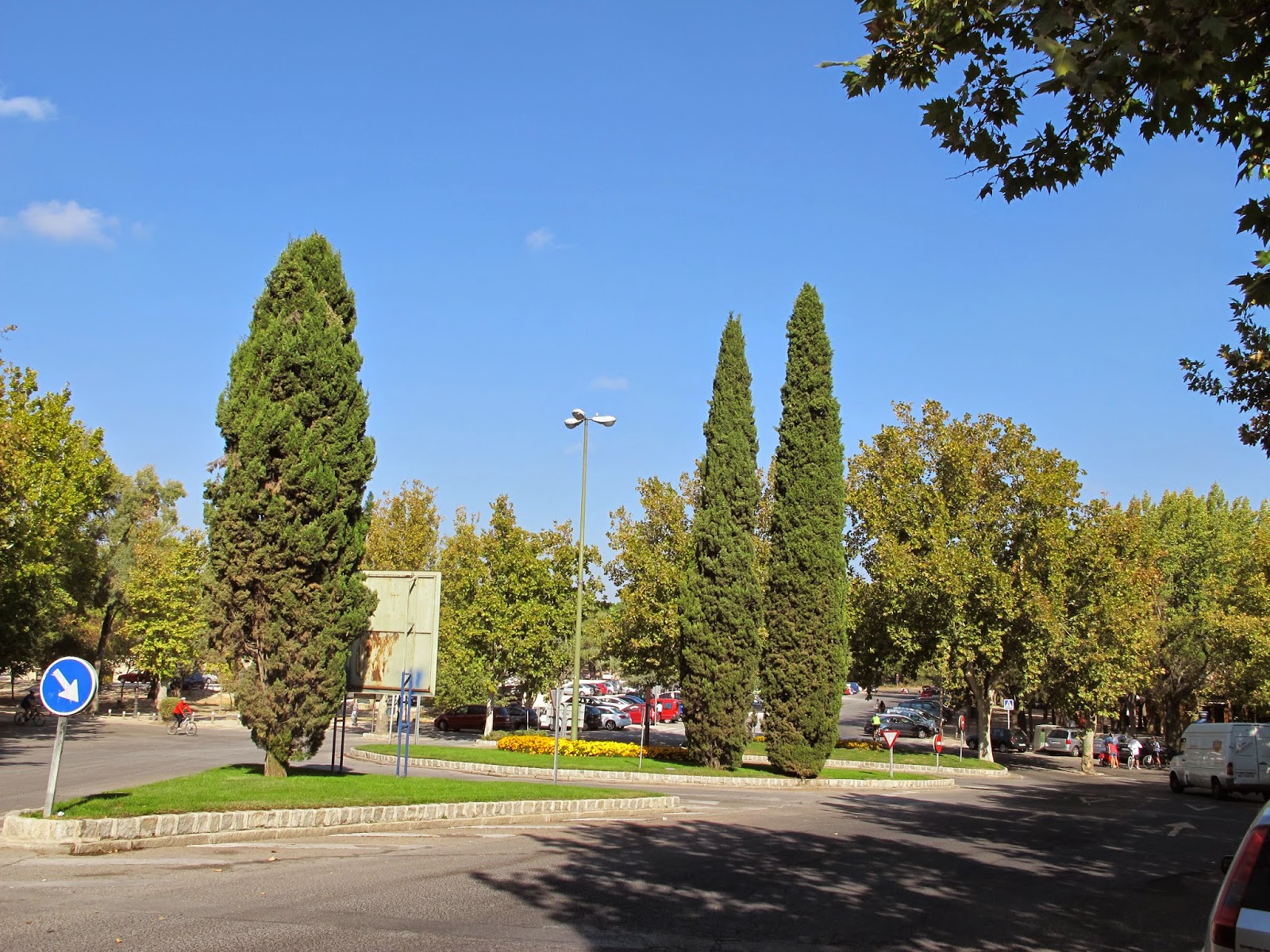 ÁRBOLES DE MADRID. El gato por las ramas.: CIPRÉS DEL REAL JARDÍN BOTÁNICO