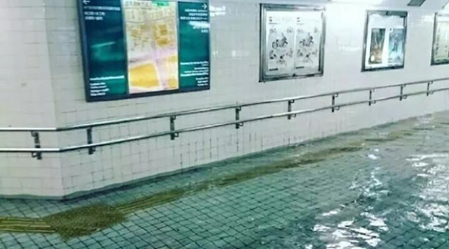Cuman Di Jepang, Banjir Bisa Sebening kolam renang. Sebabnya adalah Karena Hal Berikut...
