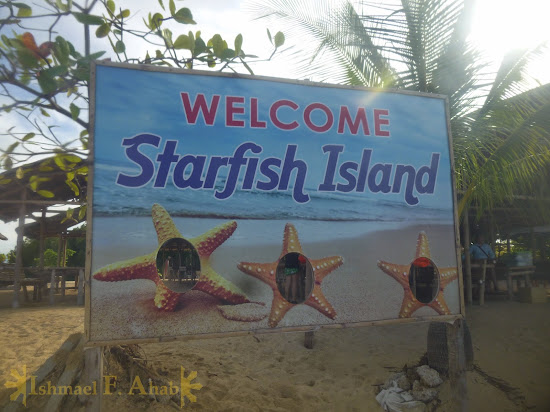 Starfish Island of Honda Bay, Puerto Princesa, Palawan