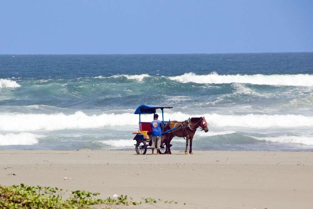  Yogyakarta Beach  Parangtritis Queen of the South Beach  