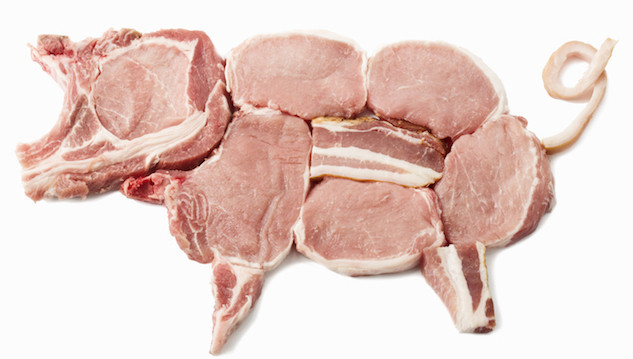 CRITERIOS DE CLASIFICACION DE ALIMENTOS