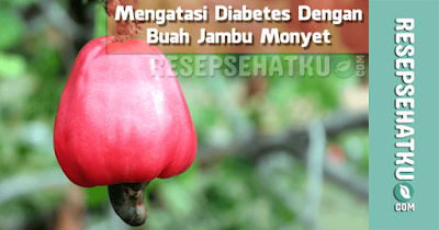 Mengatasi Diabetes dengan Jambu Monyet Mengatasi Diabetes dengan Jambu Monyet