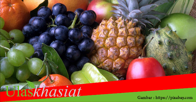 Khasiat Dan Manfaat Buah
