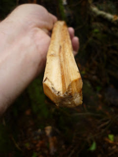 spoon carving first steps spooncarving jon mac