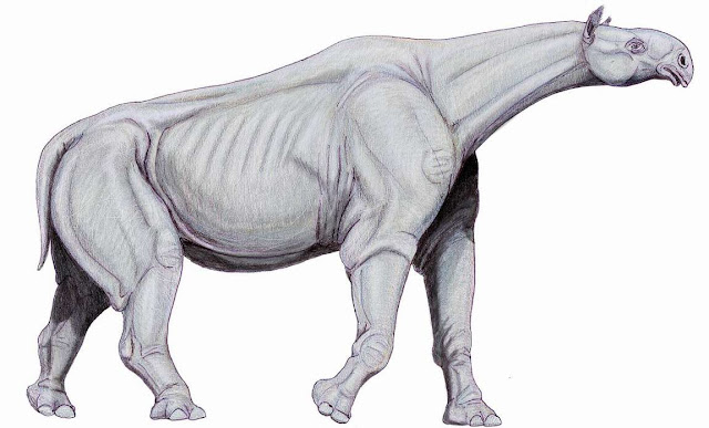 Indricotherium, mamifero gigantesco