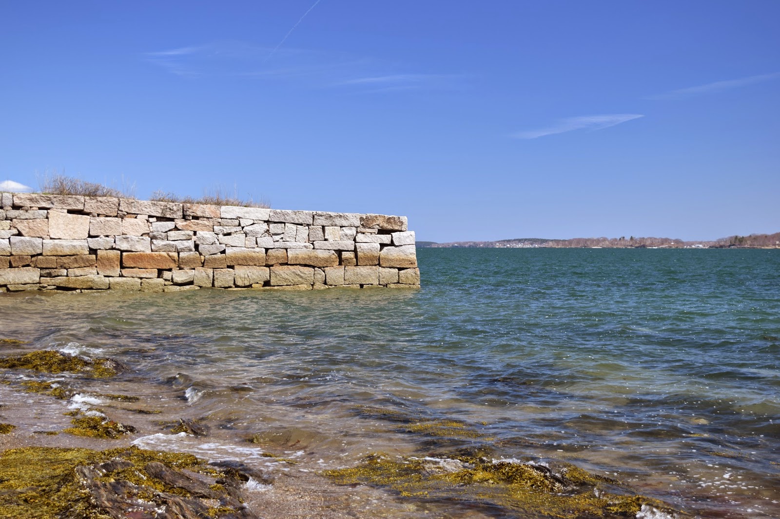 Nourishing Path White Knuckles