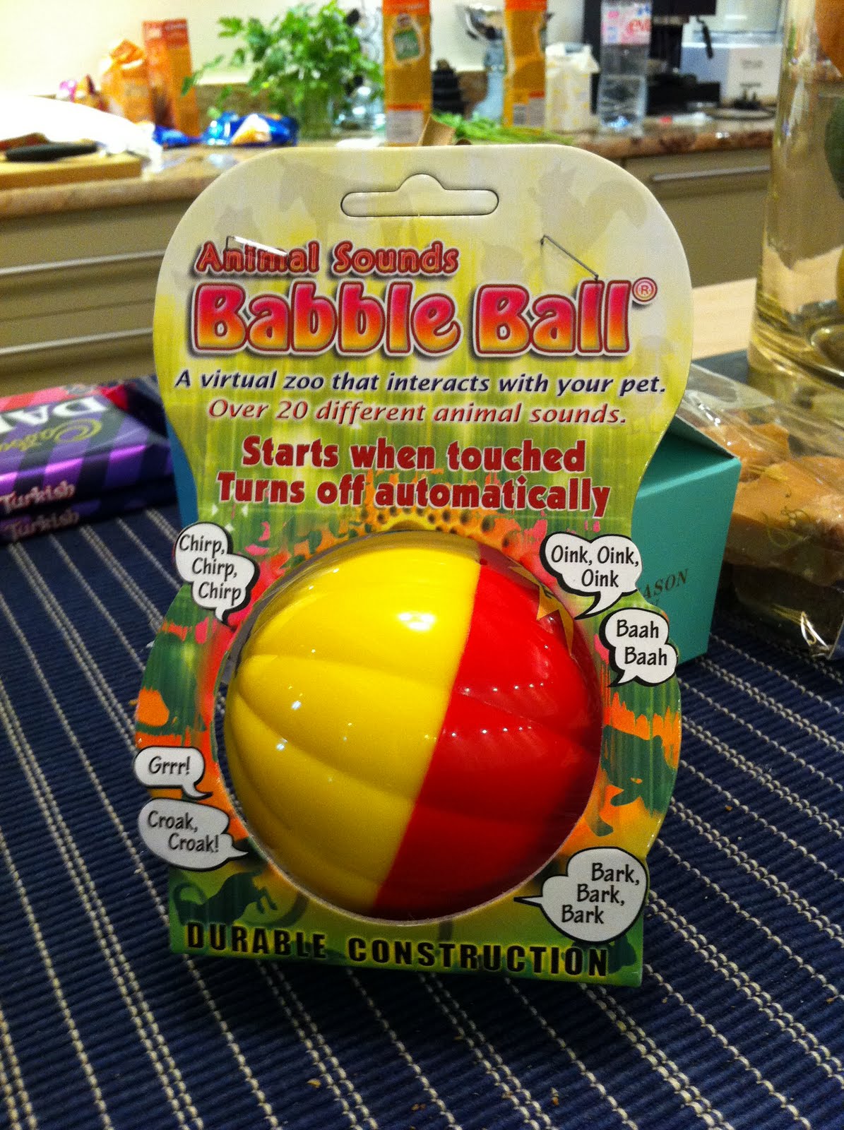 Wilf the PON discovers France. The best toy for a blind dog.