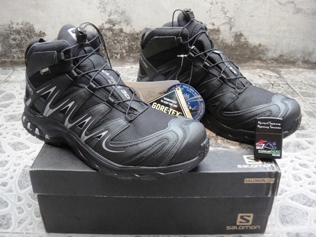 salomon xa pro mid gtx