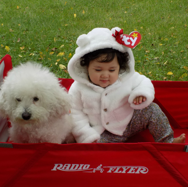 One Savvy Mom ™  NYC Area Mom Blog: DIY Beanie Baby Halloween Costume For  Babies & Dogs - Grab My Super Cute Free Printable!