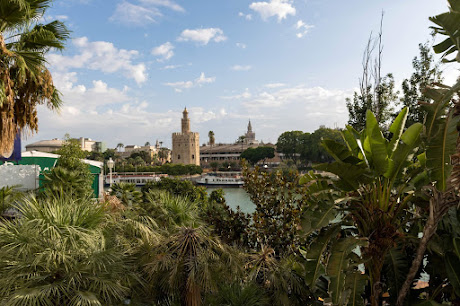 LA TORRE DEL ORO