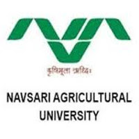 Navsari Agricultural University has published Advertisement for Senior Research Fellow Posts 2018